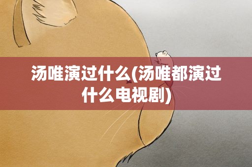 汤唯演过什么(汤唯都演过什么电视剧)