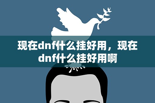 现在dnf什么挂好用，现在dnf什么挂好用啊