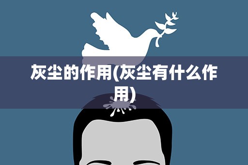 灰尘的作用(灰尘有什么作用)
