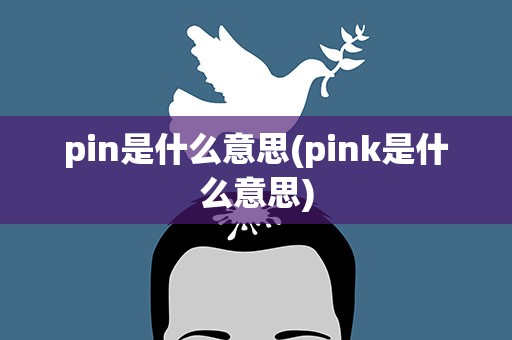 pin是什么意思(pink是什么意思)