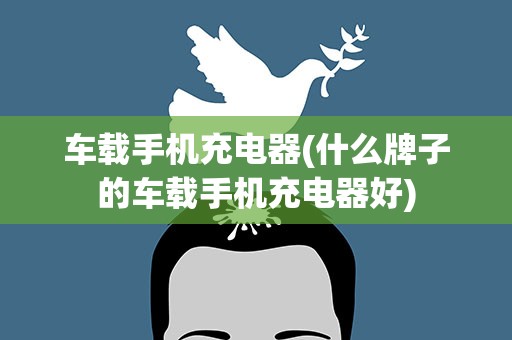 车载手机充电器(什么牌子的车载手机充电器好)