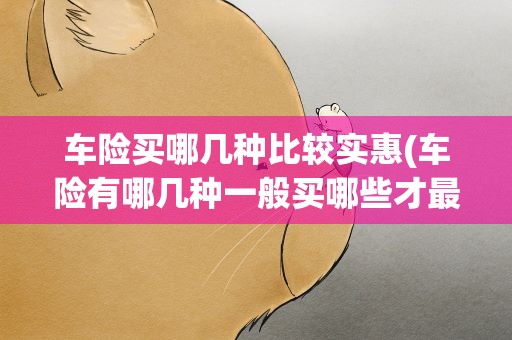 车险买哪几种比较实惠(车险有哪几种一般买哪些才最实惠最全面麻烦告诉我)