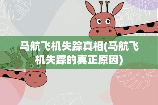 马航飞机失踪真相(马航飞机失踪的真正原因)