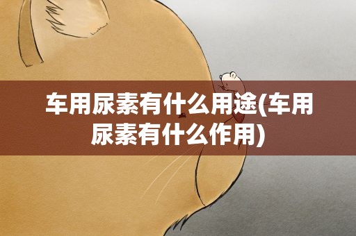 车用尿素有什么用途(车用尿素有什么作用)