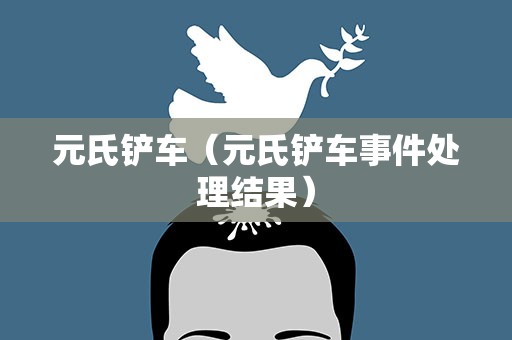 元氏铲车（元氏铲车事件处理结果）