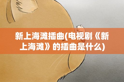 新上海滩插曲(电视剧《新上海滩》的插曲是什么)