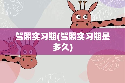 驾照实习期(驾照实习期是多久)