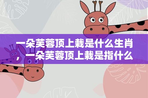 一朵芙蓉顶上栽是什么生肖，一朵芙蓉顶上栽是指什么生肖