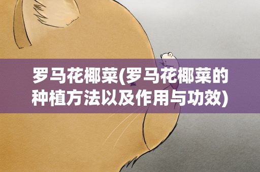 罗马花椰菜(罗马花椰菜的种植方法以及作用与功效)
