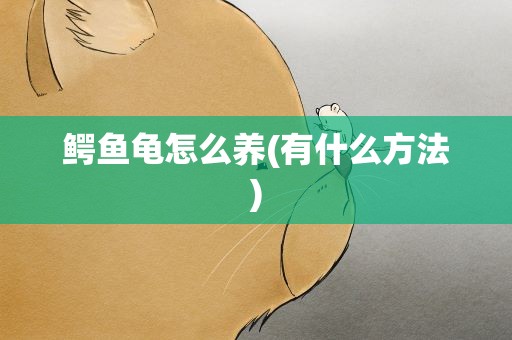 鳄鱼龟怎么养(有什么方法)