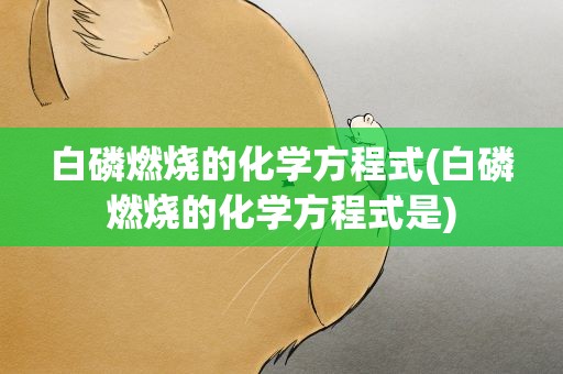 白磷燃烧的化学方程式(白磷燃烧的化学方程式是)