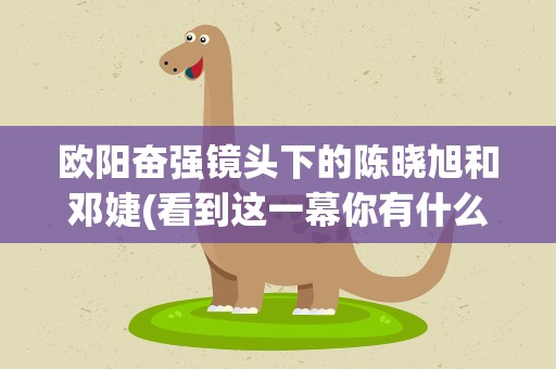 欧阳奋强镜头下的陈晓旭和邓婕(看到这一幕你有什么感受)