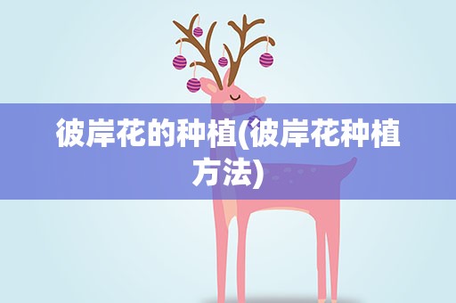 彼岸花的种植(彼岸花种植方法)