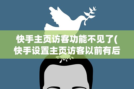 快手主页访客功能不见了(快手设置主页访客以前有后来没了)