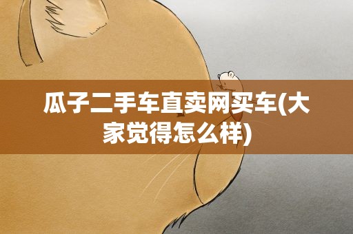 瓜子二手车直卖网买车(大家觉得怎么样)