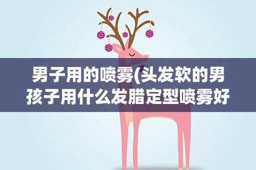 男子用的喷雾(头发软的男孩子用什么发腊定型喷雾好啊)