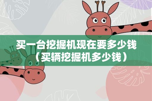 买一台挖掘机现在要多少钱（买辆挖掘机多少钱）