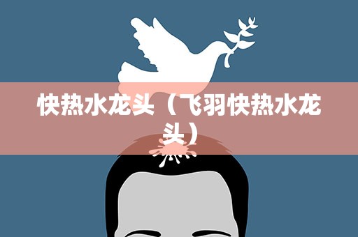 快热水龙头（飞羽快热水龙头）