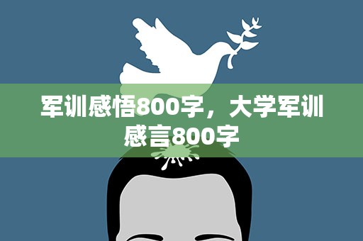 军训感悟800字，大学军训感言800字