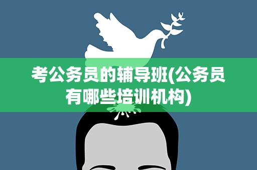 考公务员的辅导班(公务员有哪些培训机构)