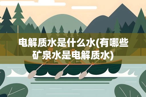 电解质水是什么水(有哪些矿泉水是电解质水)