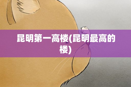 昆明第一高楼(昆明最高的楼)