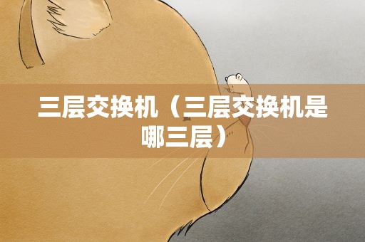 三层交换机（三层交换机是哪三层）