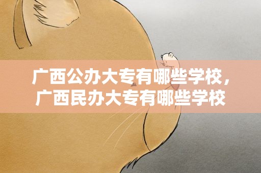 广西公办大专有哪些学校，广西民办大专有哪些学校