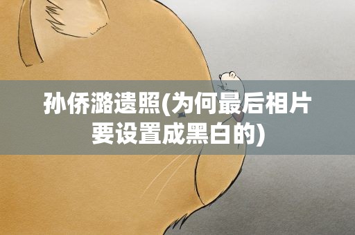孙侨潞遗照(为何最后相片要设置成黑白的)