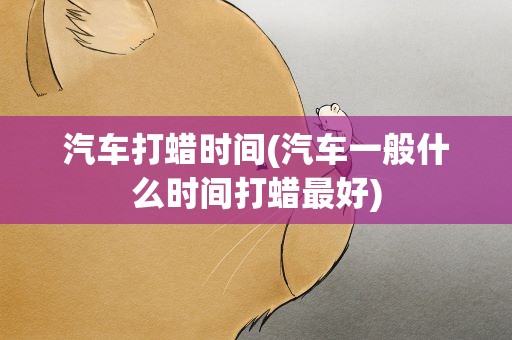 汽车打蜡时间(汽车一般什么时间打蜡最好)