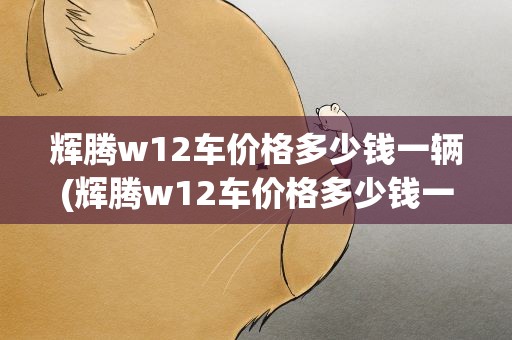 辉腾w12车价格多少钱一辆(辉腾w12车价格多少钱一辆啊)