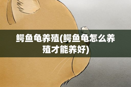 鳄鱼龟养殖(鳄鱼龟怎么养殖才能养好)
