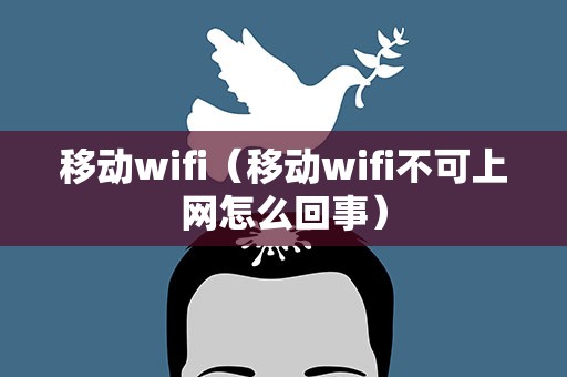 移动wifi（移动wifi不可上网怎么回事）