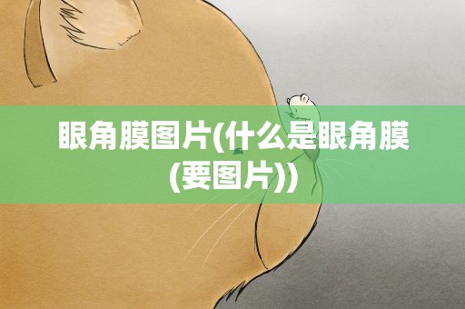 眼角膜图片(什么是眼角膜(要图片))