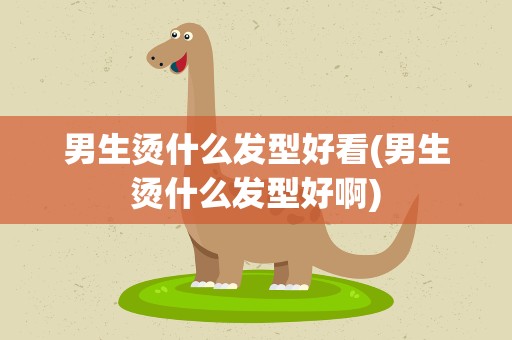 男生烫什么发型好看(男生烫什么发型好啊)