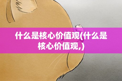 什么是核心价值观(什么是核心价值观,)