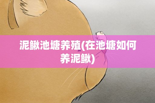泥鳅池塘养殖(在池塘如何养泥鳅)