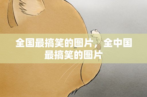 全国最搞笑的图片，全中国最搞笑的图片