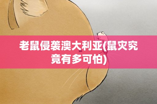 老鼠侵袭澳大利亚(鼠灾究竟有多可怕)
