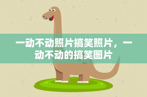 一动不动照片搞笑照片，一动不动的搞笑图片