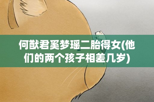 何猷君奚梦瑶二胎得女(他们的两个孩子相差几岁)