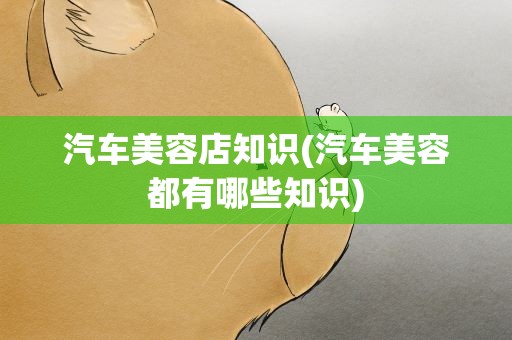汽车美容店知识(汽车美容都有哪些知识)