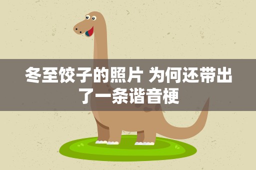 冬至饺子的照片 为何还带出了一条谐音梗
