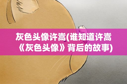 灰色头像许嵩(谁知道许嵩《灰色头像》背后的故事)