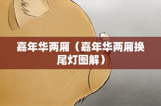 嘉年华两厢（嘉年华两厢换尾灯图解）