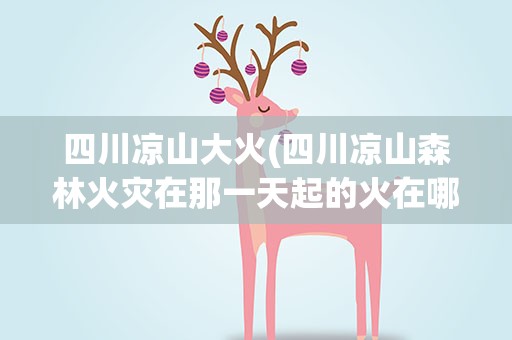 四川凉山大火(四川凉山森林火灾在那一天起的火在哪一天全部被灭掉的)