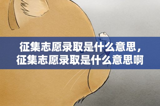 征集志愿录取是什么意思，征集志愿录取是什么意思啊
