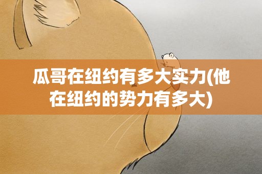瓜哥在纽约有多大实力(他在纽约的势力有多大)