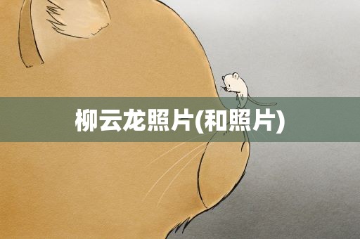 柳云龙照片(和照片)