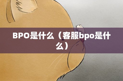 BPO是什么（客服bpo是什么）